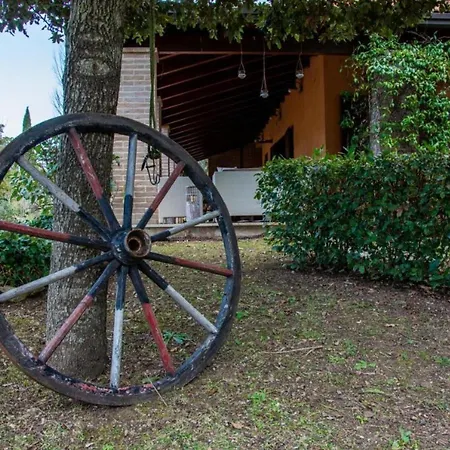 Villa Hypericum Country House Altamura